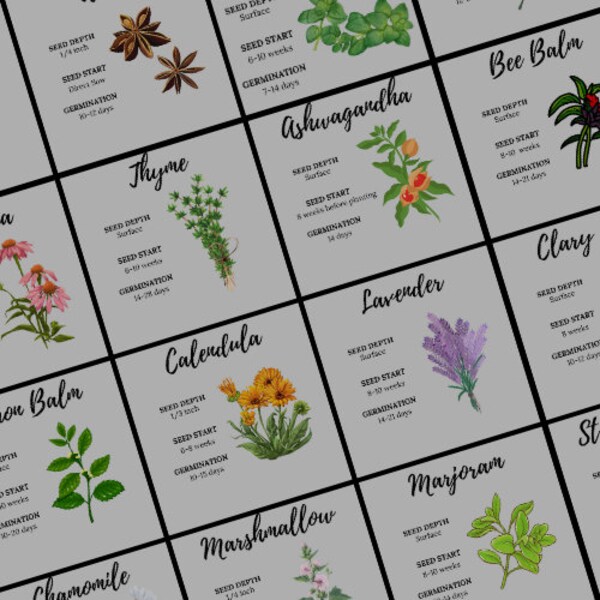 39 Herbs Seed Starting Cheat Sheets - 39 varieties with Complete Care and Guidance - Gardening Planner - Nursery Care - Plant Care 2024