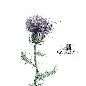 Thistle | Thistle |JUN01| Vector | Icon | Clipart | silhouette
