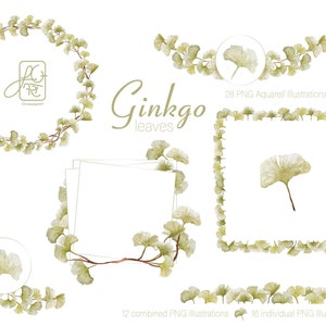 Foglie di ginkgo acquerello illustrazione acquerello clipart matrimonio handmadecards felicità botanico biloba elementi floreali licenza commerciale