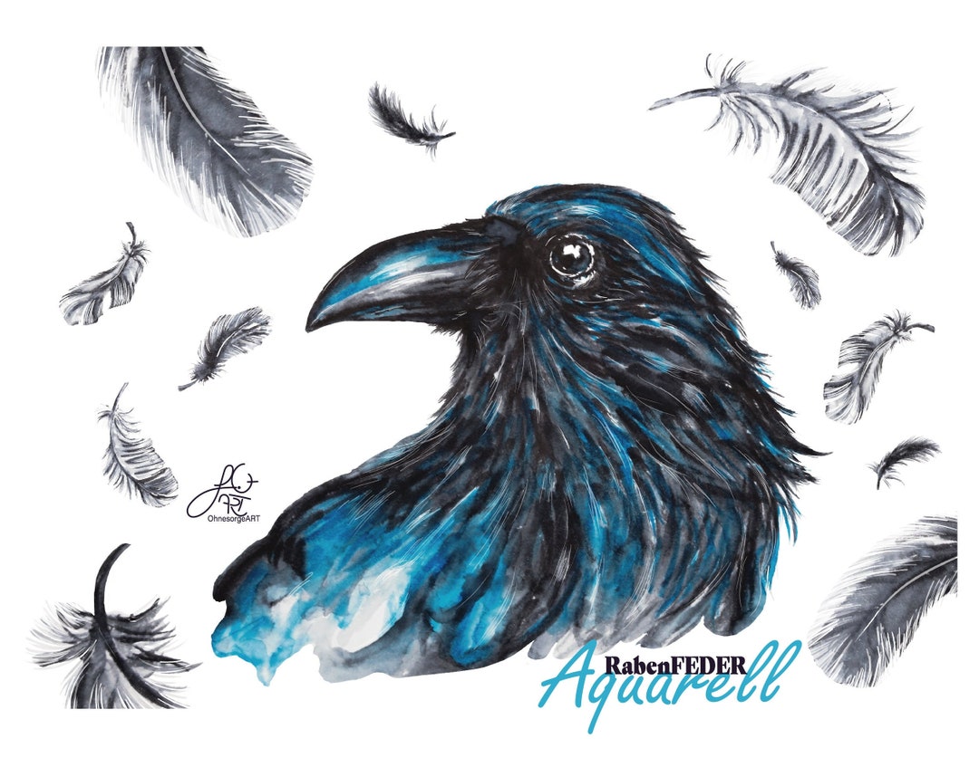 Raven Feather Watercolor | Raven Feathers |JUN03| Illustration| Clipart ...