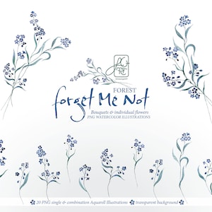 Myosotis de la forêt | Myosotis symbole bouquets numériques fleurs individuelles clipart invitation numérique fait à la main png ornements floraux