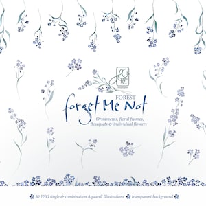 Myosotis de la forêt | Oubliez-moi-nots symbole ornements cadres floraux bouquets fleurs individuelles aquarelle numérique invitation handmad png