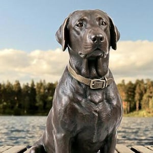 May include: A bronze-colored Labrador Retriever statue, seated on a dark gray rectangular base. The dog wears a tan collar with a buckle. The background shows a lake and trees under a blue sky.