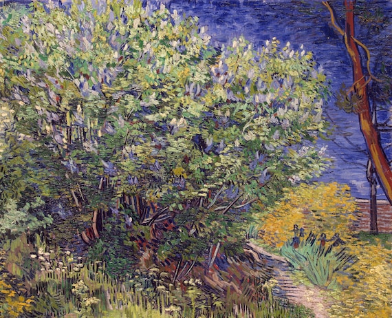 フィンセント・ファン・ゴッホ ライラックの茂み 1889 ライラック