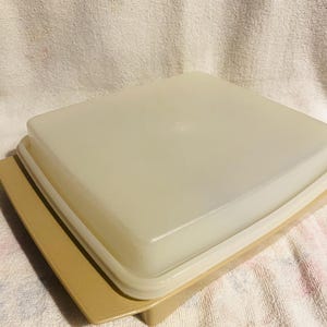 May include: A beige plastic serving tray with a clear plastic lid. The tray has a raised edge and the lid fits snugly on top.