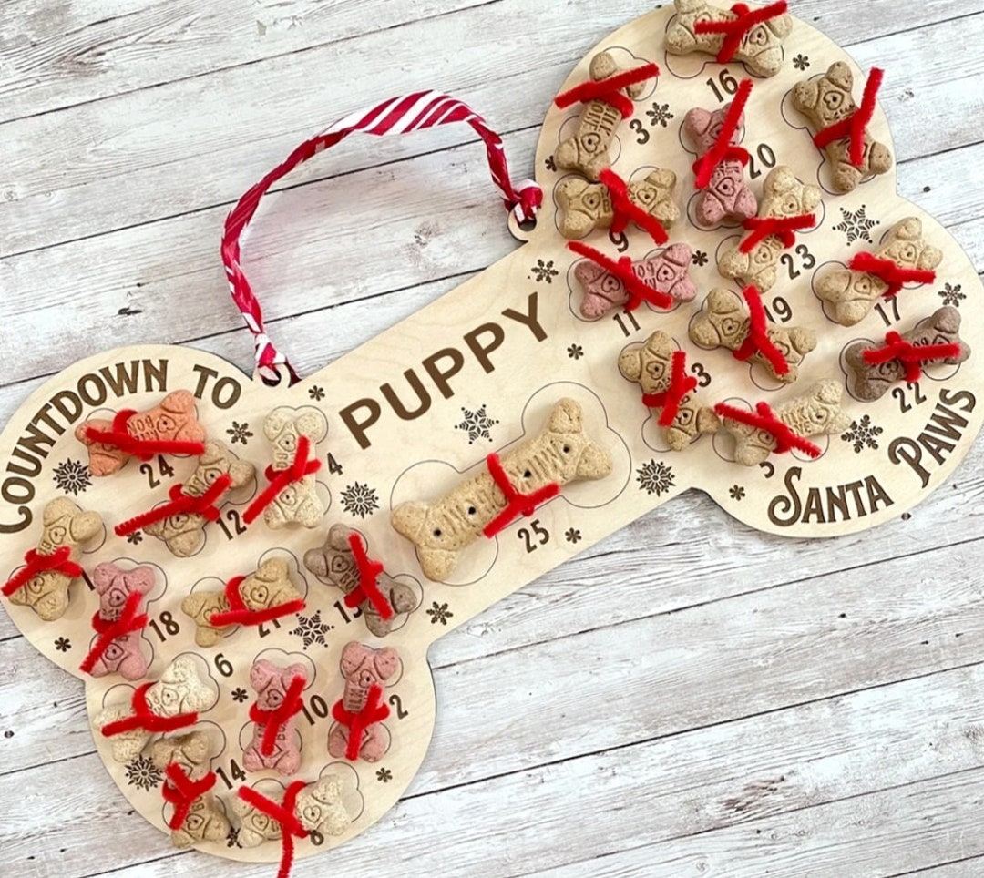 Dog Treat Advent Calendar Etsy