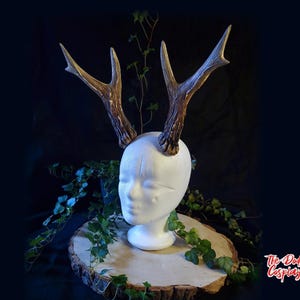 Realistic Small Antlers - One size - Handcrafted