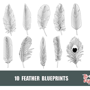 May include: Ten detailed black and white feather blueprints are shown. The feathers vary in shape and size, with intricate line work depicting their texture. The text "10 FEATHER BLUEPRINTS" is displayed at the bottom.