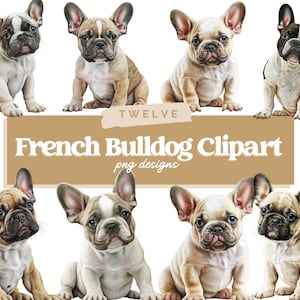 Bulldog Francês PNG | Filhote De Cachorro Bulldog PNG | Clipart de cachorro fofo | Cachorro PNG | Retrato de cachorro | Clipart aquarela | Imagens de cachorrinhos