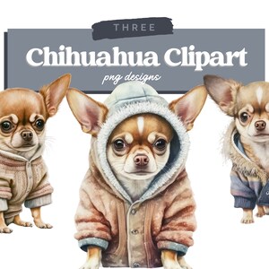 Chihuahua Clipart, Hund PNG, Aquarell Hund Clipart, Hundeportrait, Welpen Bilder, Kinderzimmer Wandkunst, Junk Journal, digitales Papier Handwerk