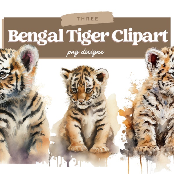 Watercolor Bengal Tiger Clipart, Bengal Tiger Clipart PNG, Bengal Tiger Clipart Bundle, Commercial Use, Watercolor Bengal Tiger Graphics