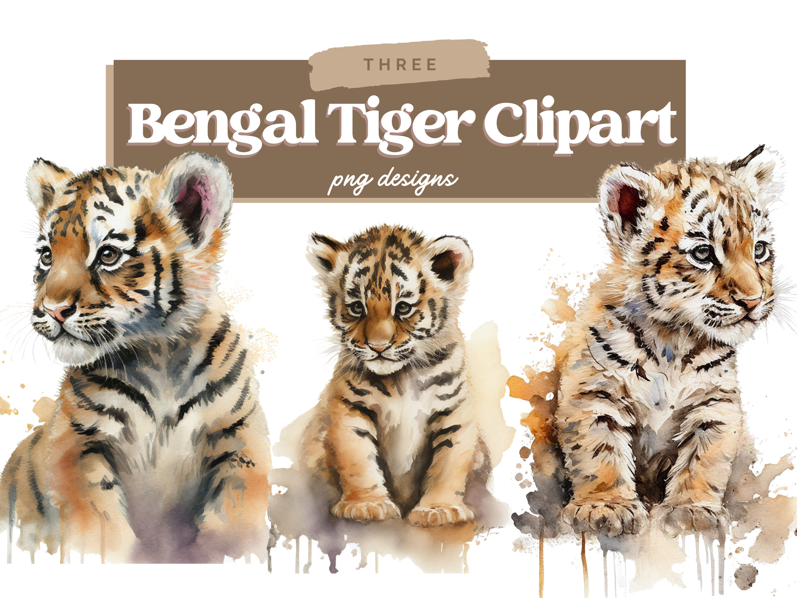 Watercolor Bengal Tiger Clipart Bengal Tiger Clipart PNG - Etsy