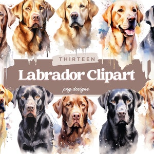 Watercolor Labrador Clipart Bundle, PNG, Labrador PNG, Commercial Use, Labrador Sublimation, Labrador Graphics, Digital Download