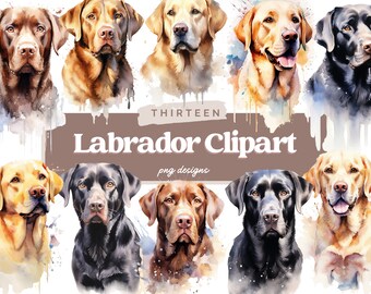 Watercolor Labrador Clipart Bundle, PNG, Labrador PNG, Commercial Use, Labrador Sublimation, Labrador Graphics, Digital Download