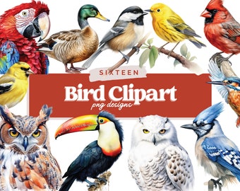Watercolor Birds Clipart Bundle, Spring Birds Clipart, Birds Bundle, Colorful Birds Clipart, Birds On Branch Clipart, Digital PNG