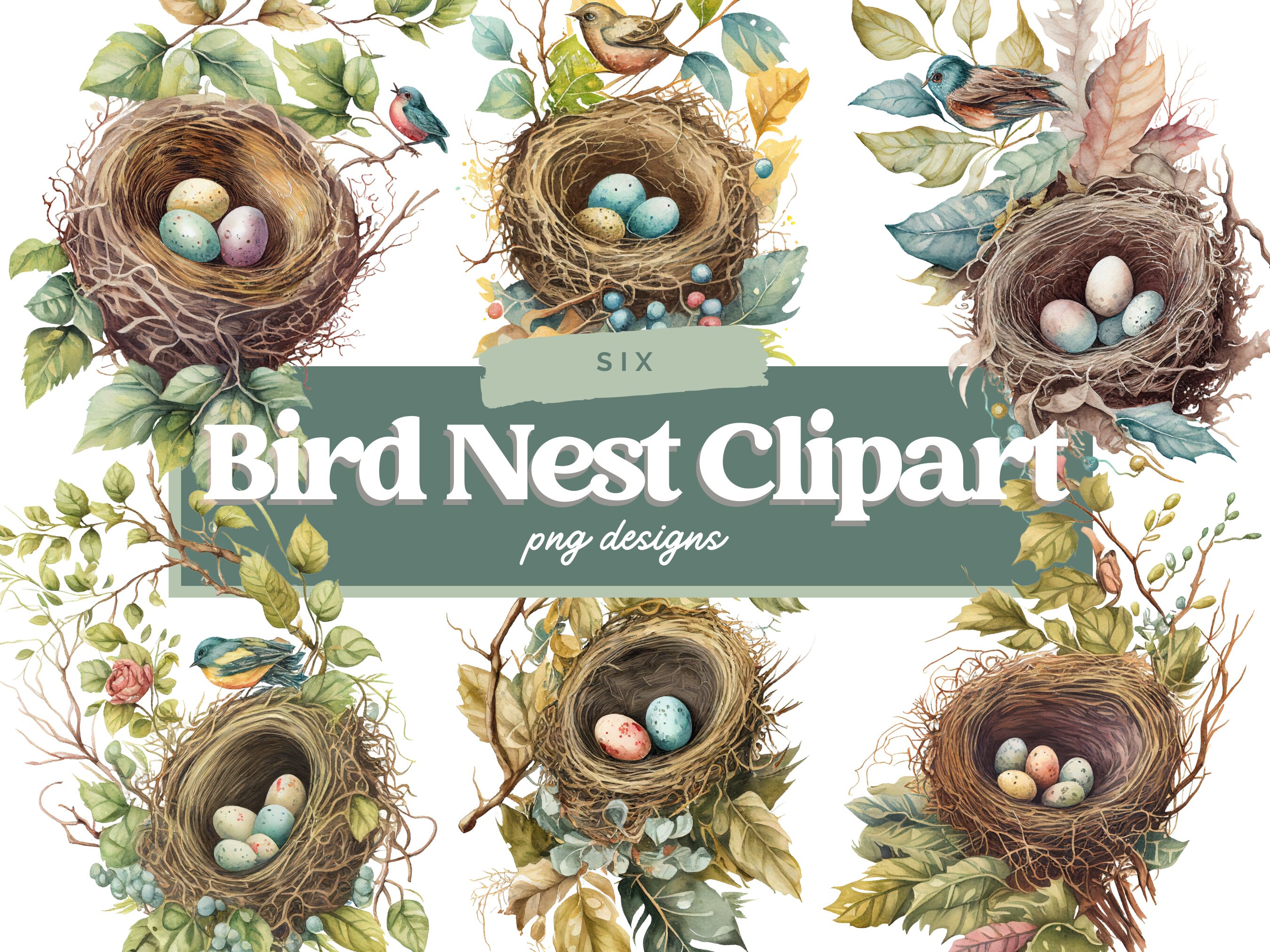 Bird Nest PNG Bird Nest Clipart Set Watercolor Bird Nest Sublimation