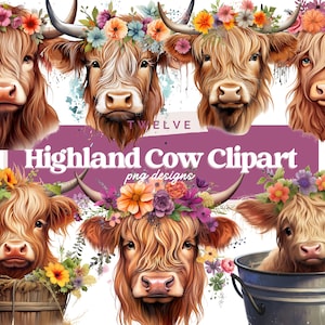 Highland cow png, watercolor clipart, highland cow baby, baby shower decor, baby animals, highland cow svg, clip art bundle, cow png clipart