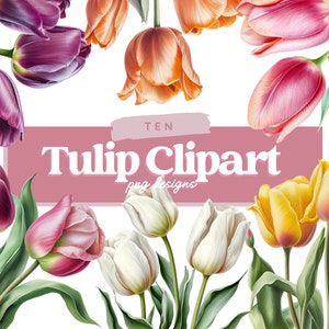 Watercolor Tulips Digital Illustration Bundle, Tulip Digital Paper, Tulip Clip Art, Spring Watercolor Home Decor, Flower Wall Art, Easter