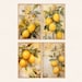 Lemon Junk Journal Pages, Digital Scrapbook Paper Kit, Fruit Printable ...