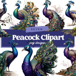 Majestic Peacock Clipart - 7 High Quality PNGs - Digital Planner, Junk Journaling, Watercolor, Wall Art, Commercial Use - Digital Download