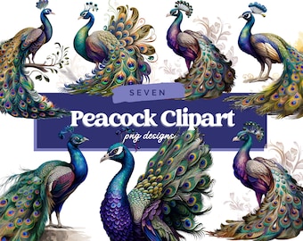 Majestic Peacock Clipart - 7 PNG de haute qualité - Digital Planner, Junk Journaling, Aquarelle, Wall Art, Commercial Use - Téléchargement numérique