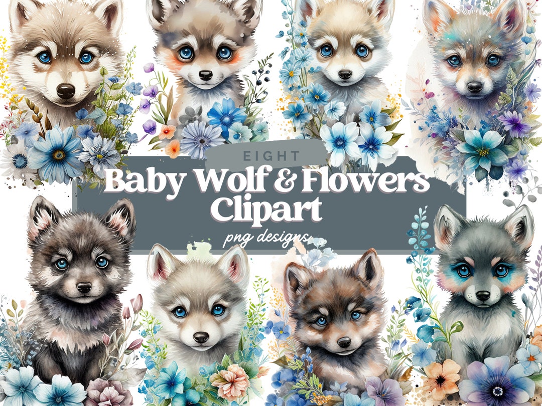 Watercolor Baby Wolf Clipart, Cute Baby Wolf Clipart, Baby Wolf Clipart
