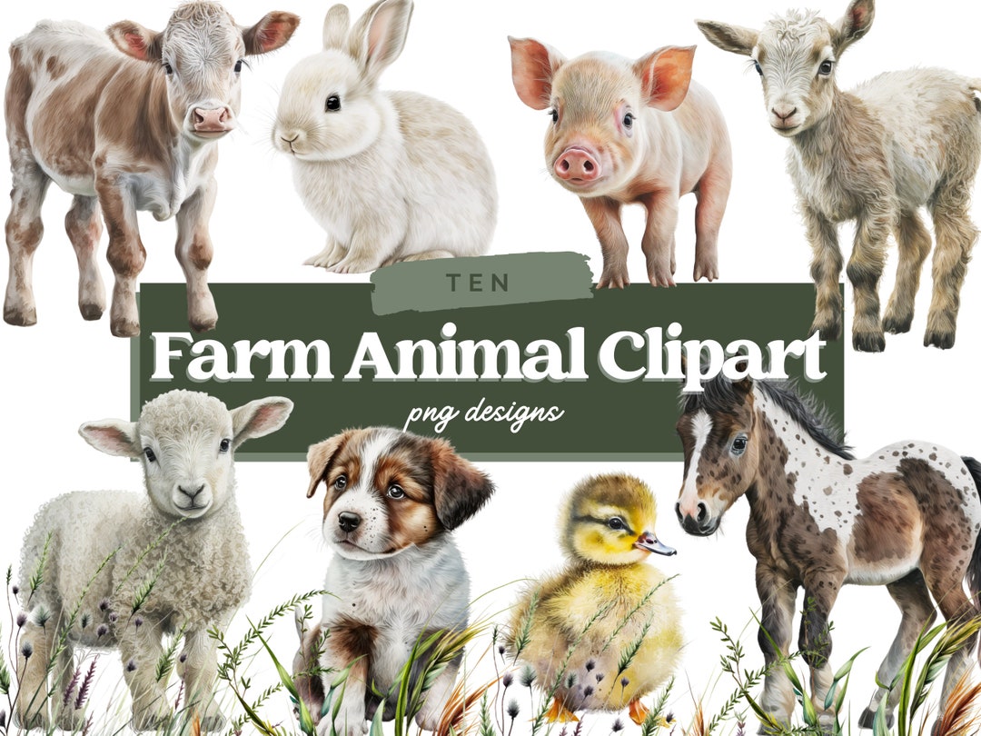 Watercolour Farmyard Animals Clipart - Pig Cow Horse PNG Digital Image ...
