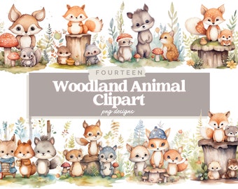 Woodland Animal Clipart, Nursery Clipart, Kid clipart, Children, PNG, Book Illustration, Free Commercial use, Watercolor Animal Clipart