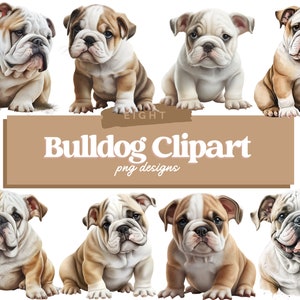 Bulldog inglese PNG / Bulldog Puppy PNG / Cute Dog Clipart / Cane PNG / Ritratto di cane / Acquerello Clipart / Immagini cucciolo