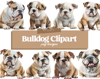 English Bulldog PNG | Bulldog Puppy PNG | Cute Dog Clipart | Dog PNG | Dog Portrait | Watercolor Clipart | Puppy images