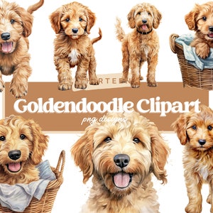 Goldendoodle Clipart, Hund PNG, Golden Doodle PNG, niedlicher Hund Clipart, Kinderzimmer Clipart, Hund Aquarell, Welpen Bilder, kommerzielle Lizenz