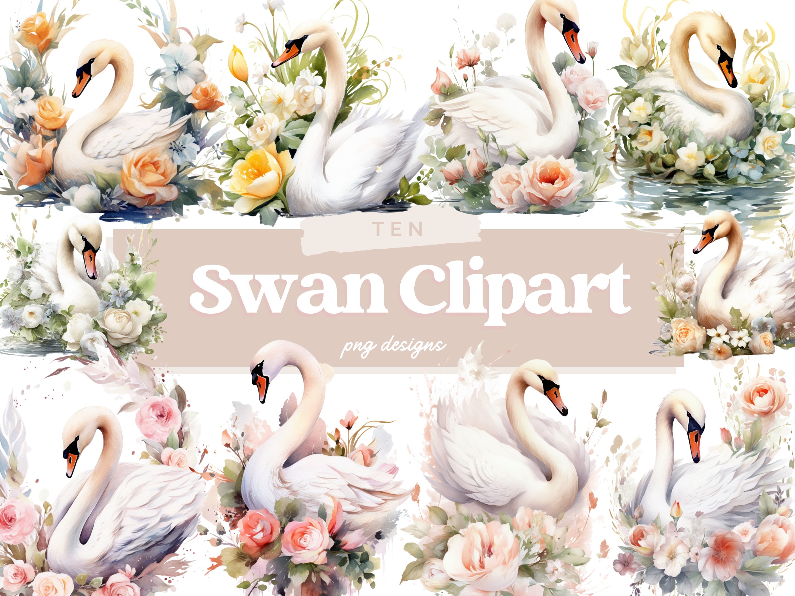 Watercolor Swan Clipart Bundle, PNG, Floral Swan PNG, Commercial Use ...