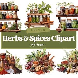 Watercolor Herbs and Spices Clipart, Kitchen Clipart, Cooking PNG, Herb PNG, Spices PNG, Watercolor clipart, Commercial Use, Instant Files