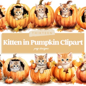 Watercolor Kitten in Pumpkin PNG Clipart, Halloween Cat PNG, Halloween Graphics, Animal PNG, Halloween Kitten Digital Images, Commercial Use