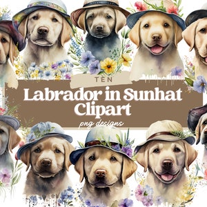 Watercolor Labrador in Sunhat Clipart, Cute Puppy Clipart, Dogs in Hats Clipart, Scrapbooking, Junk Journal, Commercial Use, Instant File