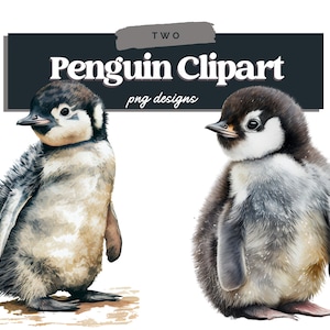 Imágenes Prediseñadas de pingüinos de acuarela, imágenes prediseñadas de pingüinos PNG, paquete de imágenes prediseñadas de pingüinos, uso comercial, gráficos de pingüinos de acuarela, descarga digital