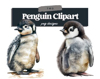 Watercolor Penguin Clipart, Penguin Clipart PNG, Penguin Clipart Bundle, Commercial Use, Watercolor Penguin Graphics, Digital Download