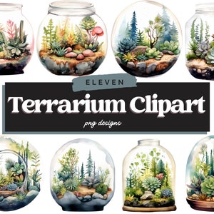 Aquarel Terrarium clipart bundel, sappige PNG, aquarel clipart, cactus digitale afbeelding, commercieel gebruik, cactussen clipart, Terrarium PNG