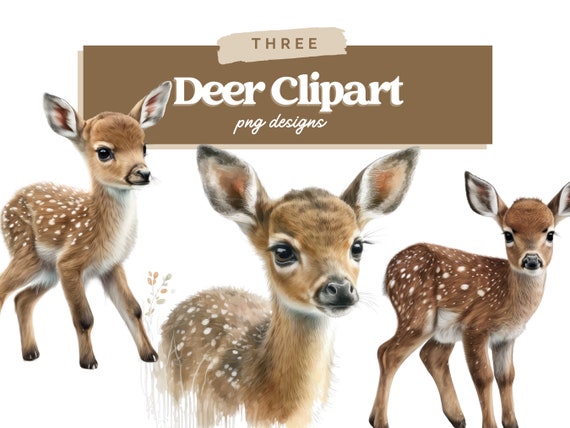 Fawn Digital Illustration Bundle, Digital Crafting, Paper Crafting, Watercolor Fawn, Deer Nursery Art, Commercial Use, Deer ClipArt