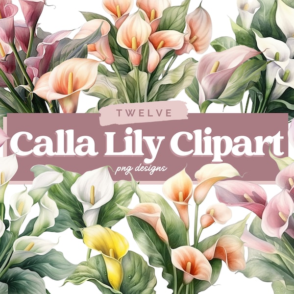 Watercolor Calla Lily Digital Illustration Bundle, Calla Lily Digital Paper, Calla Lily Clip Art, Spring Watercolor PNG, Flower Wall Art