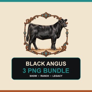 May include: A digital graphic featuring a black Angus cow standing inside an ornate, brown, and turquoise-accented frame. Below the frame, a black rectangular box displays the white and teal text: BLACK ANGUS 3 PNG BUNDLE SHOW RANCH LEGACY.