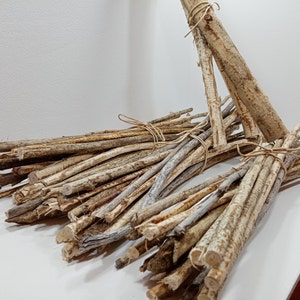 May include: A bundle of natural, light brown twigs tied together with twine. The twigs are arranged in a fan shape, with the ends of the twigs pointing outwards.