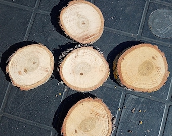 Rustic Oak Wood Slices: 2-3" DIY Wood Discs (Set of 5)