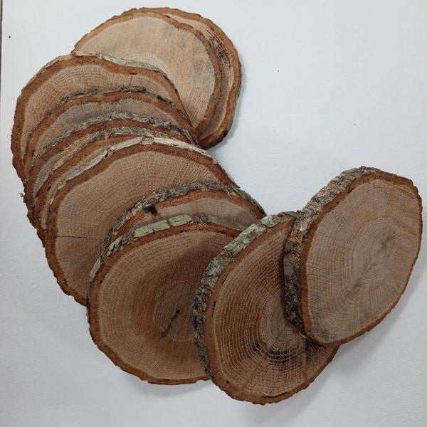 Tree slices Oak Wood rings Wood discs Wooden slices Cup holder Plant pot tray 10 pieces 9 cm 3.5 inches diameter Handicrafts  Natural decor