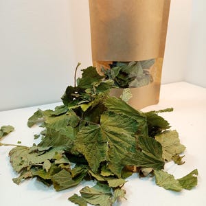 Black currant leaves dried Ribes nigrum L.