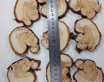 Wacholderholz Scheiben aus Wacholderholz: Natürliche Rohholzscheiben zum Basteln (7 cm)