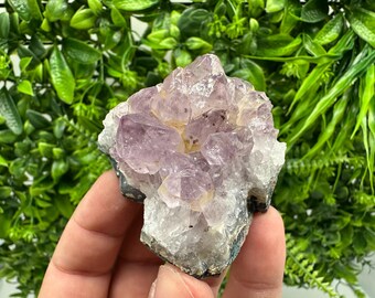 Améthyste 5,45 Carats - Brésil Ovale - | Achat et vente de