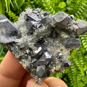 Wonderful skeletal shiny Galena on Quartz top condition natural minerals collection home decor Borieva mine Madan Bulgaria souvenir stone