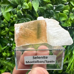 TOP QUALITY! Golden Phantom Selenite Slabs. Fishtail Selenite. Utah Raw Golden Selenite Slab / Wands. Utah Selenite. Sheet Selenite. Gift