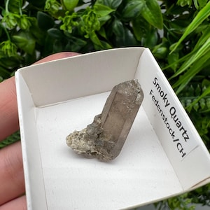 Raro quarzo fumé di Fedenstock (montagna) Svizzera, Minerale, Esemplare, Collezione, Quarzo nero, Minerale, Casa, Quarzo fumé, Punta di quarzo